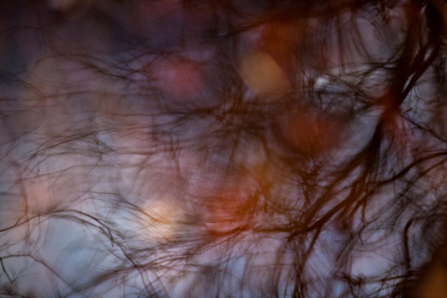 Chincoteague Marsh #2 | Ebb + Flow Series